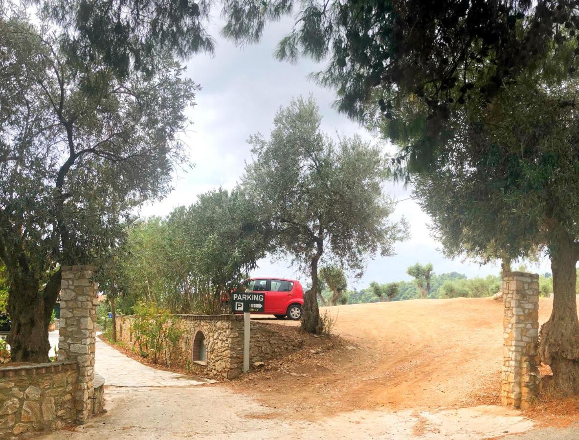 Hotel Azzurro Katsaros  Exteriér fotografie