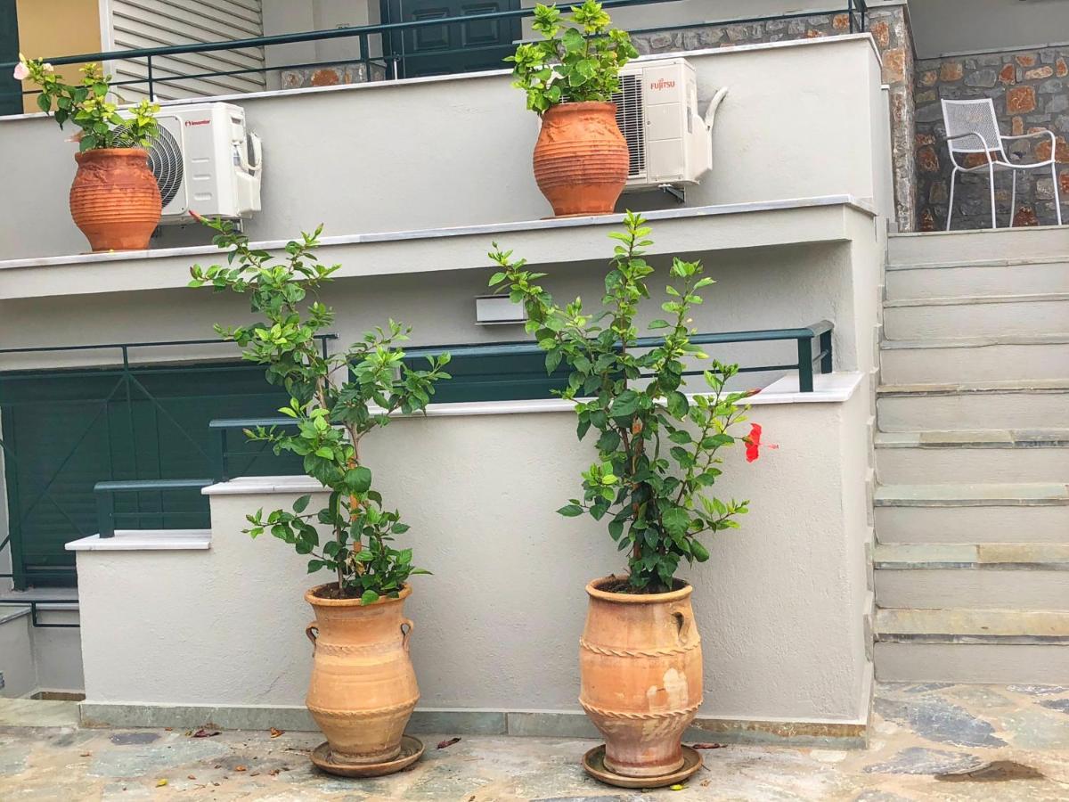 Hotel Azzurro Katsaros  Exteriér fotografie